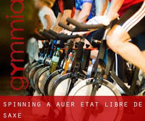 Spinning à Auer (État libre de Saxe)