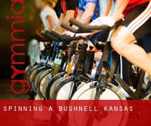 Spinning à Bushnell (Kansas)