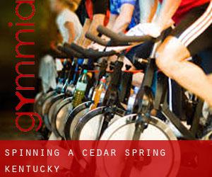 Spinning à Cedar Spring (Kentucky)
