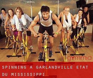 Spinning à Garlandville (État du Mississippi)