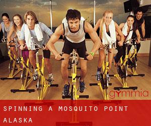 Spinning à Mosquito Point (Alaska)
