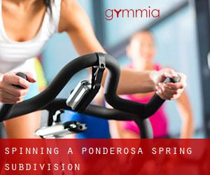 Spinning à Ponderosa Spring Subdivision