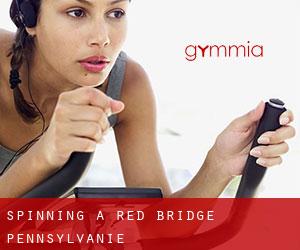Spinning à Red Bridge (Pennsylvanie)