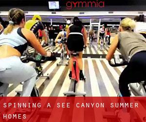Spinning à See Canyon Summer Homes