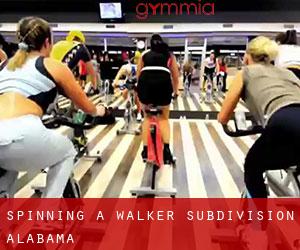Spinning à Walker Subdivision (Alabama)
