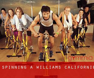 Spinning à Williams (Californie)