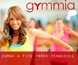Zumba à Five Forks (Tennessee)