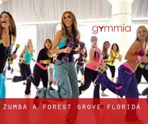 Zumba à Forest Grove (Florida)
