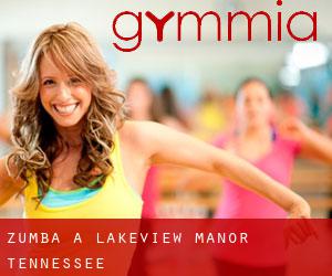 Zumba à Lakeview Manor (Tennessee)