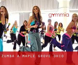 Zumba à Maple Grove (Ohio)