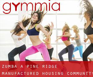 Zumba à Pine Ridge Manufactured Housing Community