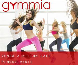 Zumba à Willow Lake (Pennsylvanie)