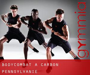 BodyCombat à Carbon (Pennsylvanie)