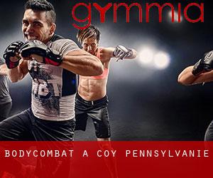 BodyCombat à Coy (Pennsylvanie)