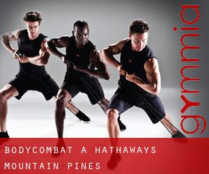 BodyCombat à Hathaways Mountain Pines