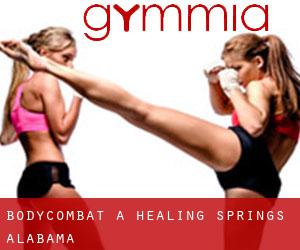 BodyCombat à Healing Springs (Alabama)