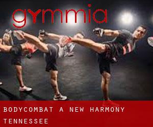 BodyCombat à New Harmony (Tennessee)