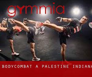 BodyCombat à Palestine (Indiana)