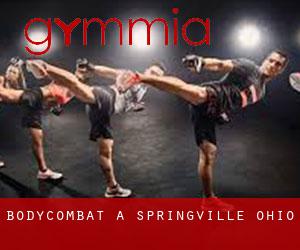 BodyCombat à Springville (Ohio)