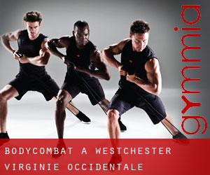 BodyCombat à Westchester (Virginie-Occidentale)