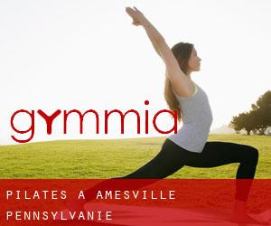 Pilates à Amesville (Pennsylvanie)