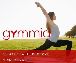 Pilates à Elk Grove (Pennsylvanie)