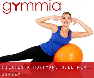 Pilates à Hoffmans Mill (New Jersey)