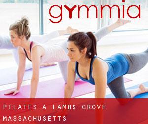 Pilates à Lambs Grove (Massachusetts)