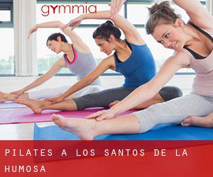 Pilates à Los Santos de la Humosa
