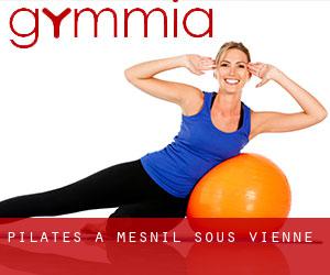 Pilates à Mesnil-sous-Vienne