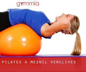 Pilates à Mesnil-Verclives