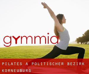 Pilates à Politischer Bezirk Korneuburg