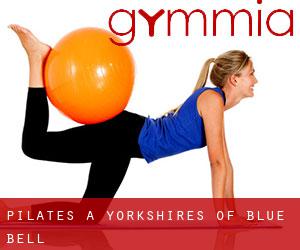 Pilates à Yorkshires of Blue Bell