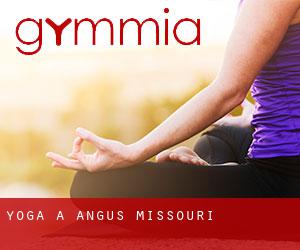 Yoga à Angus (Missouri)