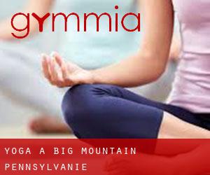 Yoga à Big Mountain (Pennsylvanie)