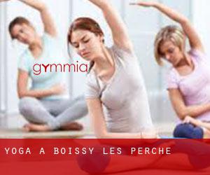 Yoga à Boissy-lès-Perche
