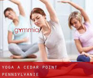 Yoga à Cedar Point (Pennsylvanie)