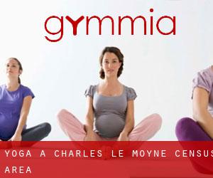 Yoga à Charles-Le Moyne (census area)