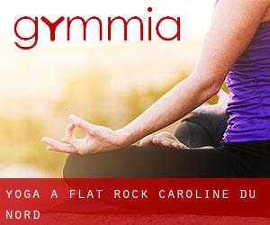 Yoga à Flat Rock (Caroline du Nord)