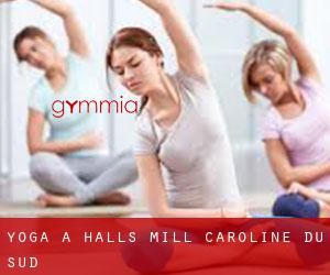 Yoga à Halls Mill (Caroline du Sud)