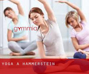 Yoga à Hammerstein