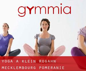 Yoga à Klein Rogahn (Mecklembourg-Poméranie)
