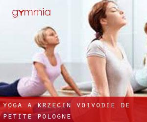 Yoga à Krzęcin (Voïvodie de Petite-Pologne)