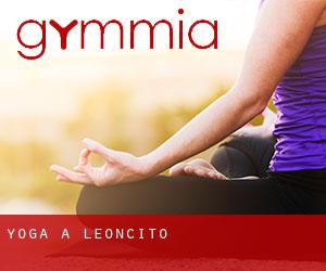 Yoga à Leoncito
