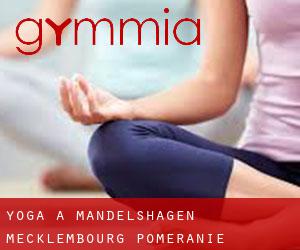 Yoga à Mandelshagen (Mecklembourg-Poméranie)