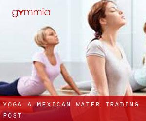 Yoga à Mexican Water Trading Post
