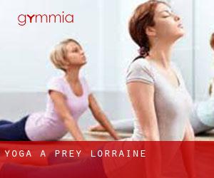 Yoga à Prey (Lorraine)