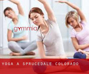 Yoga à Sprucedale (Colorado)