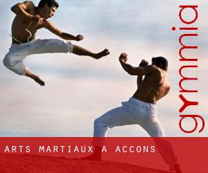 Arts Martiaux à Accons