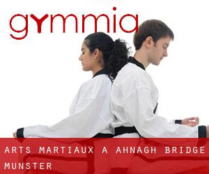 Arts Martiaux à Ahnagh Bridge (Munster)